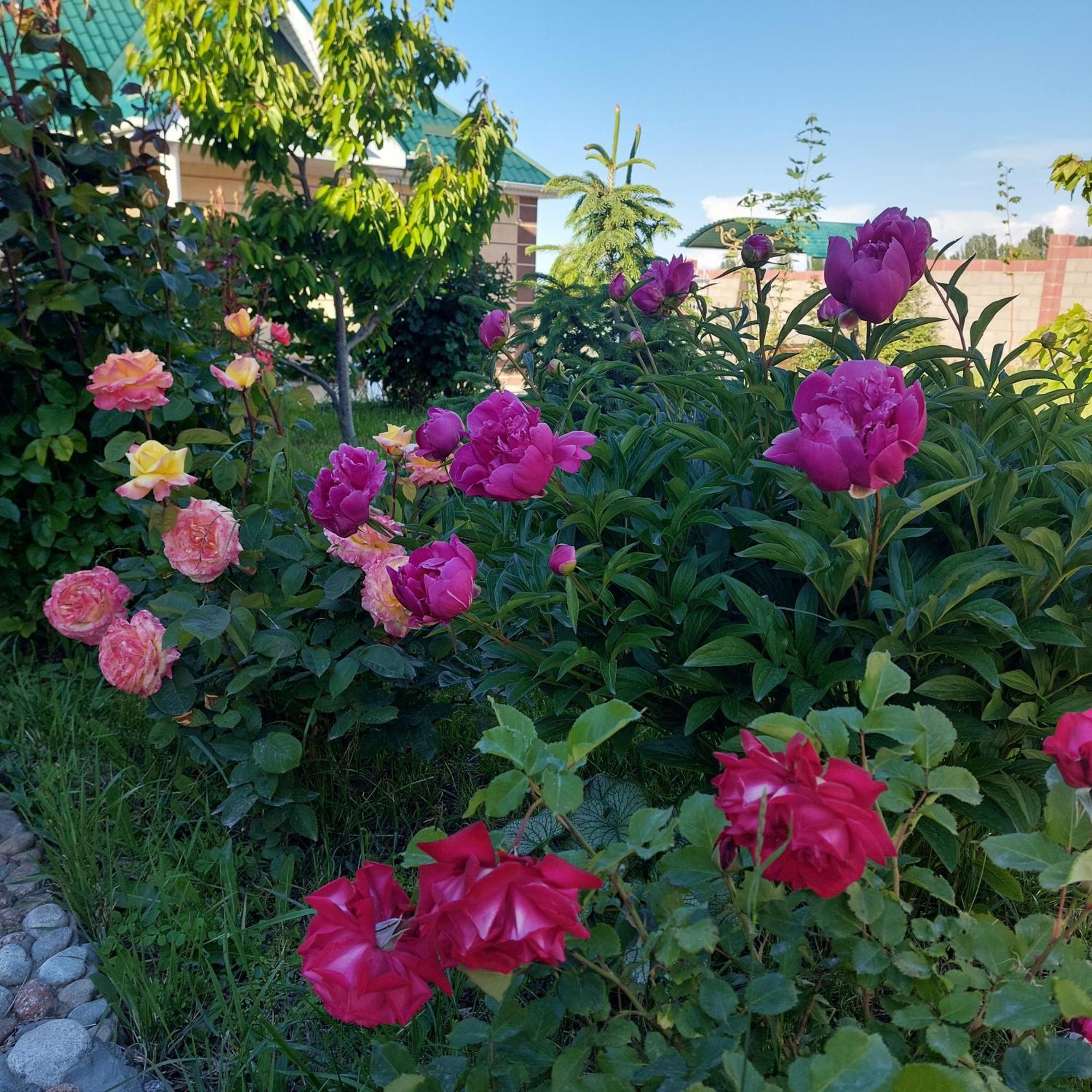 Svetlana Guest House Bokonbayevo Exterior foto